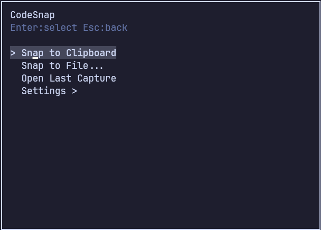 CodeSnap main menu